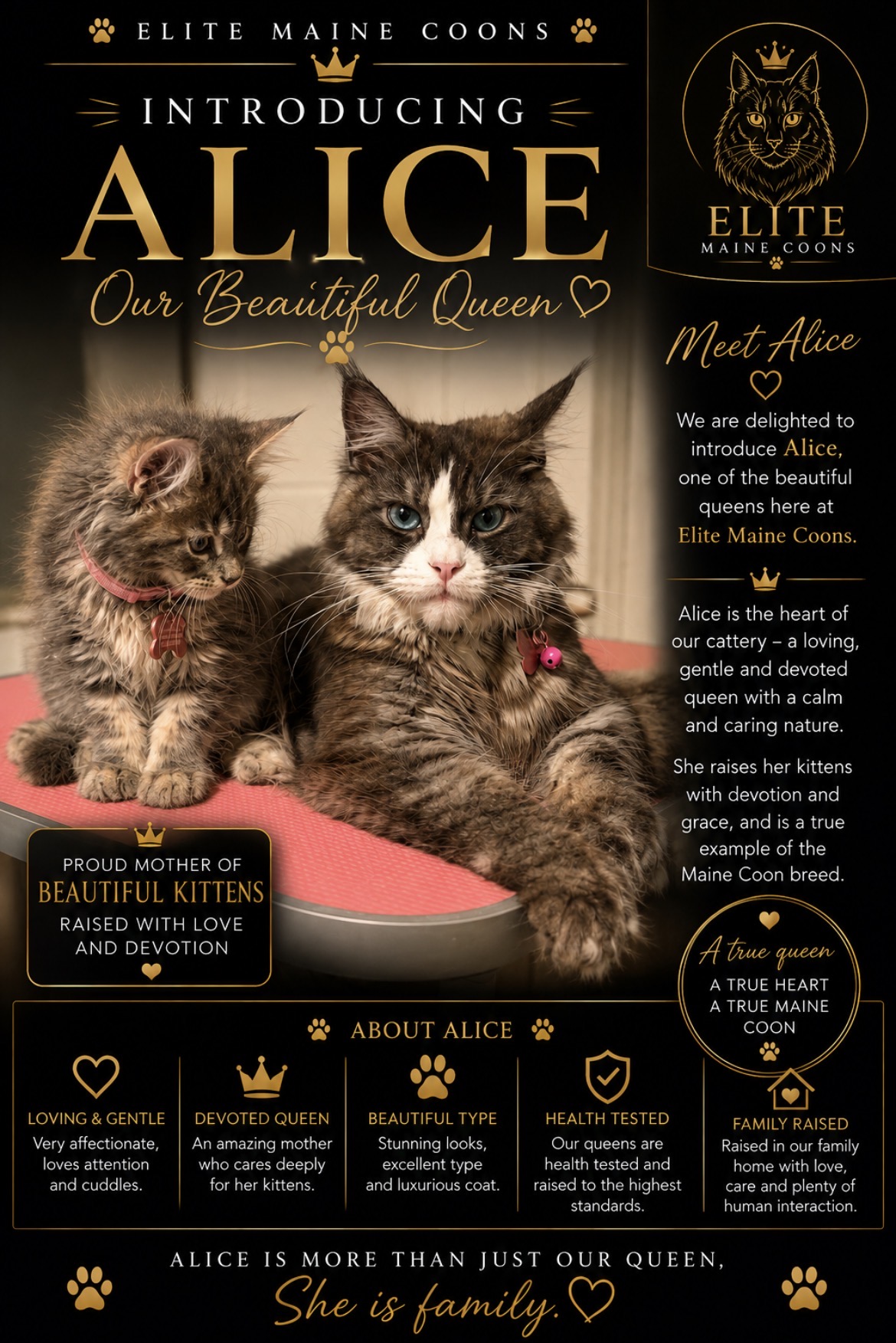 Alice's illustrated EMC introduction