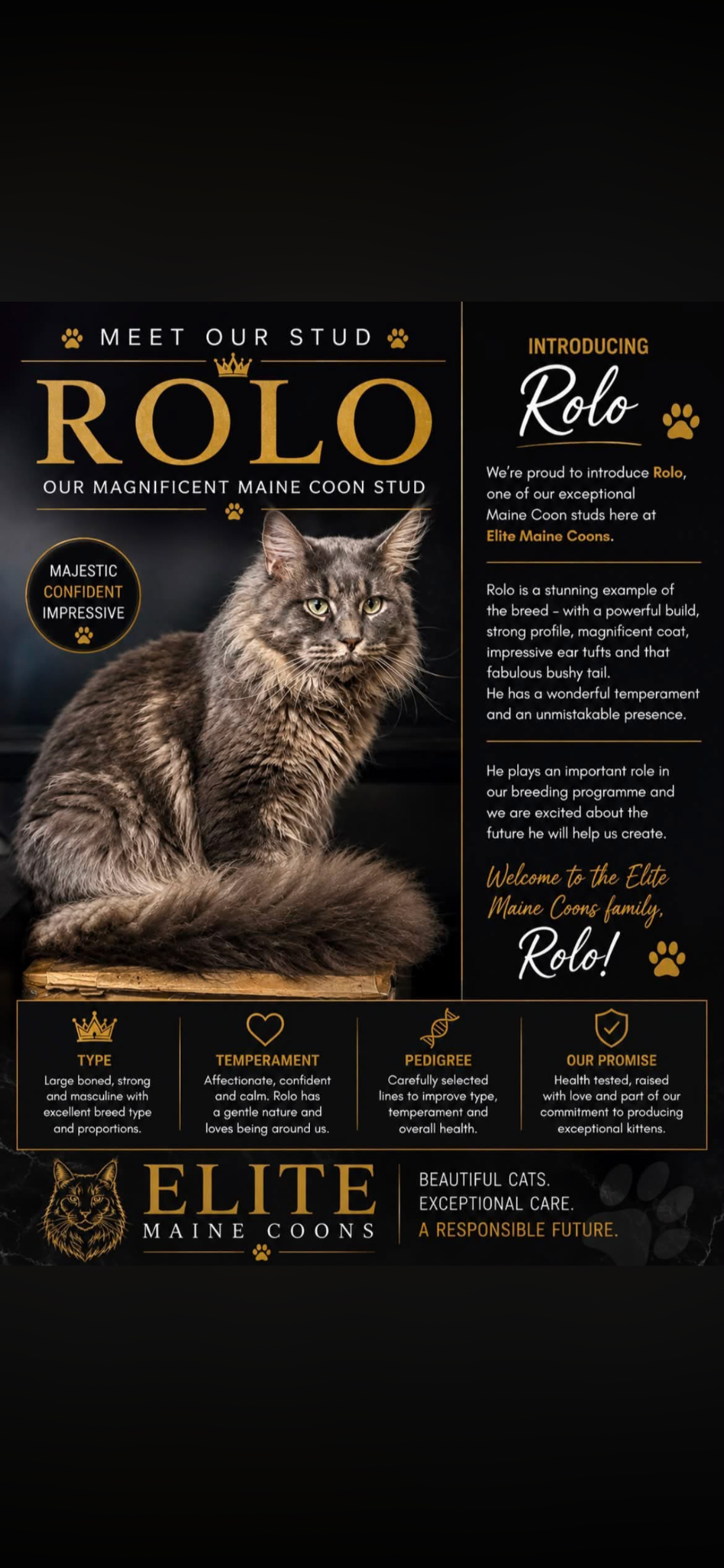 Rolo's illustrated EMC introduction